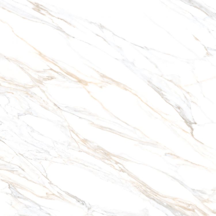 Aurum Calacatta Polished 48 x 48